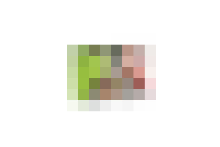  / #17