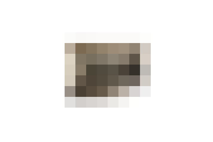  / #17