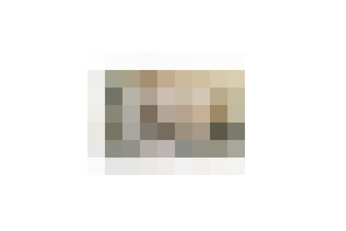  / #17