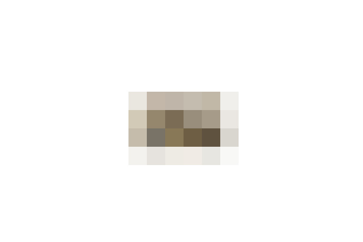  / #17