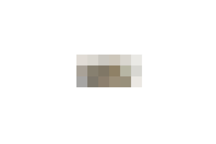  / #19