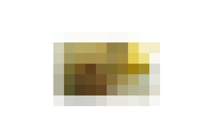  / #11
