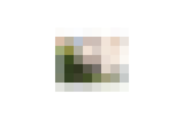  / #8