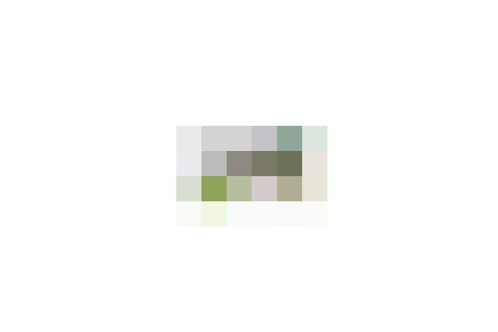 / #15