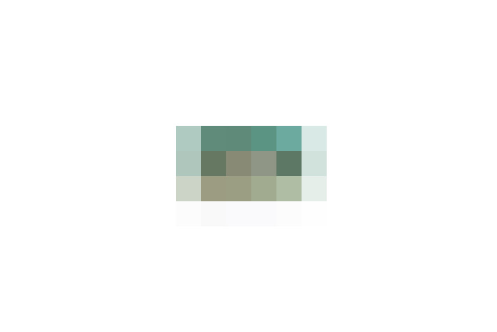  / #14