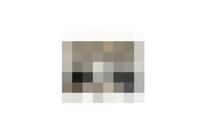  / #17
