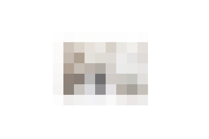  / #17