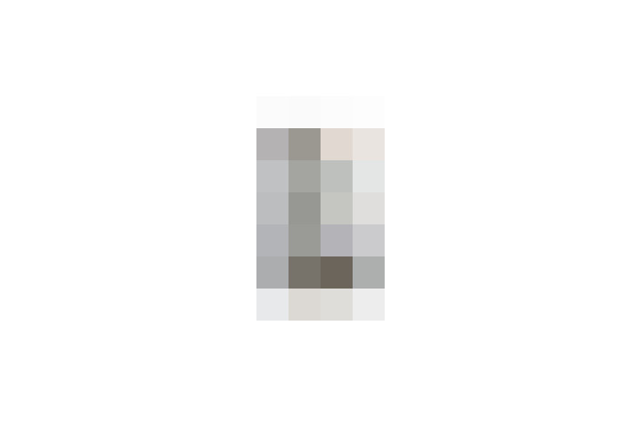  / #19