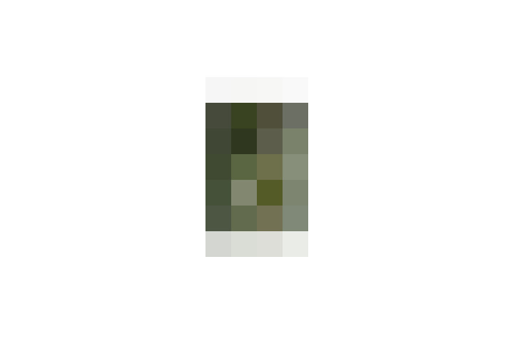  / #7