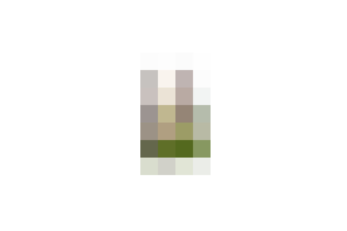  / #8