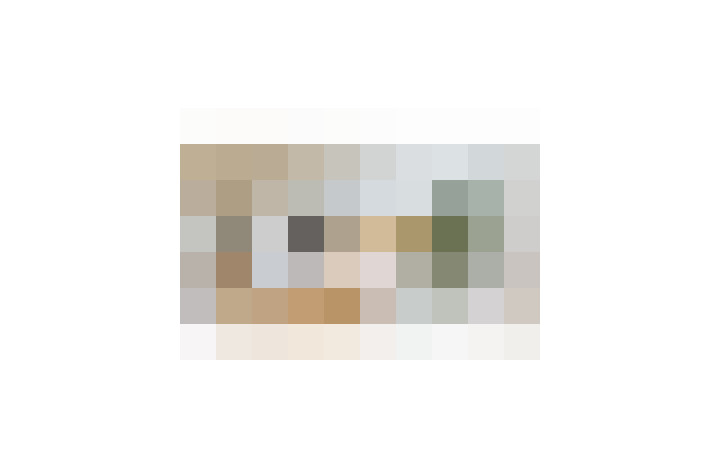  / #19