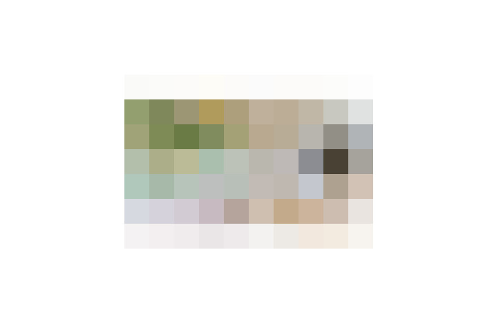  / #20
