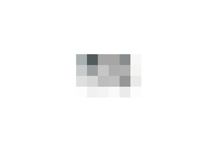  / #11