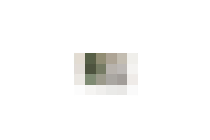  / #6