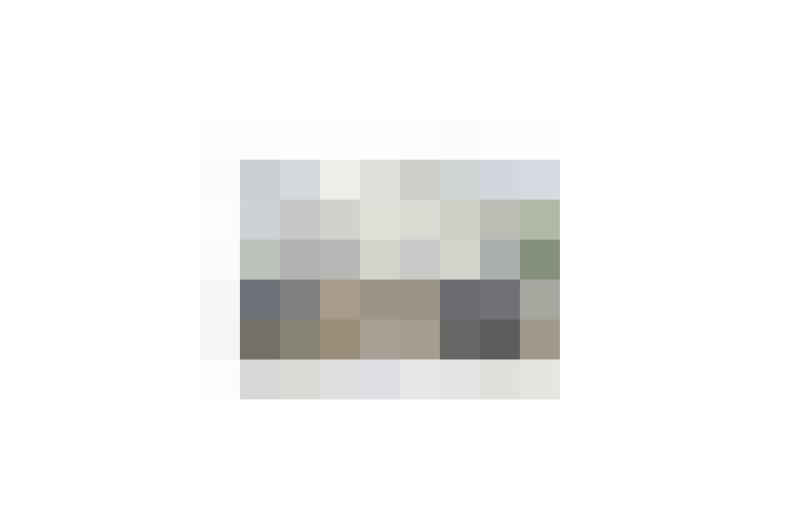  / #17