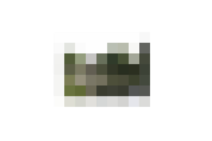  / #15