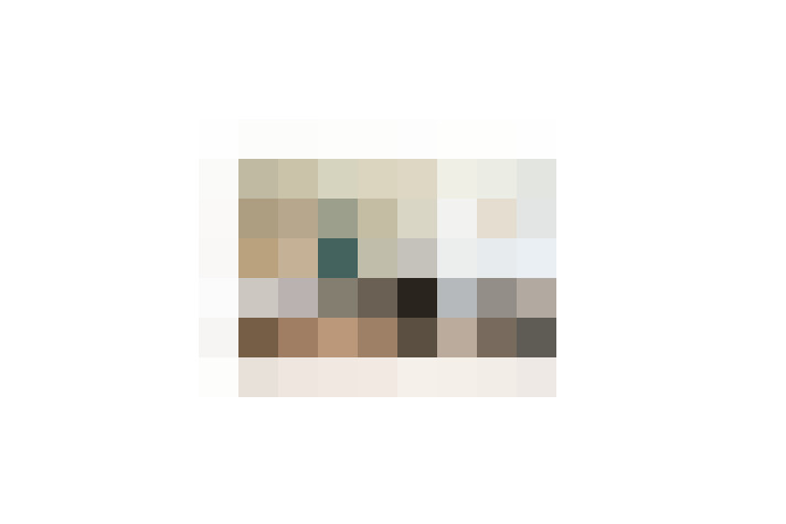  / #19