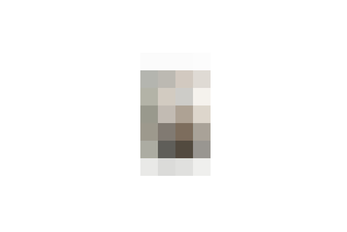  / #19