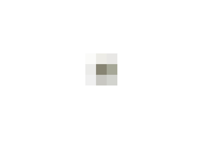  / #17