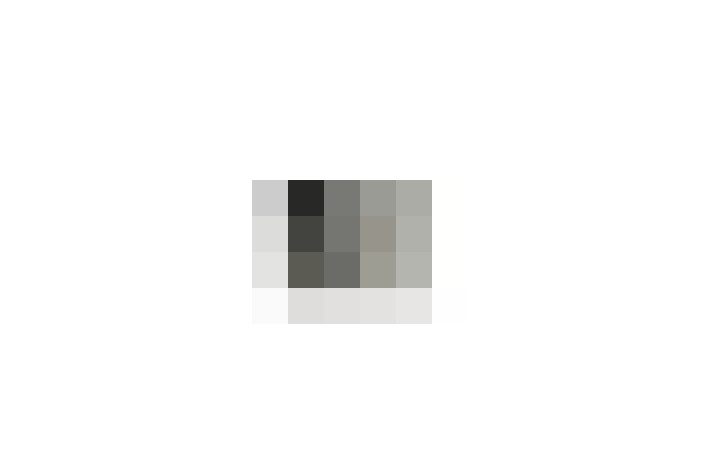  / #16