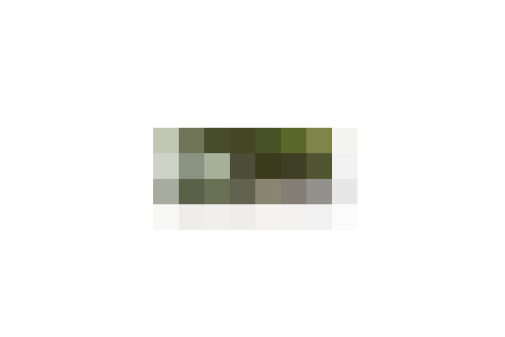  / #11