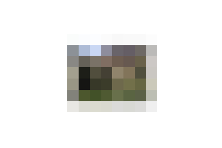  / #17