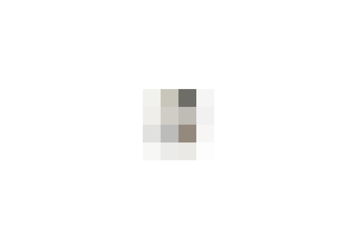  / #23