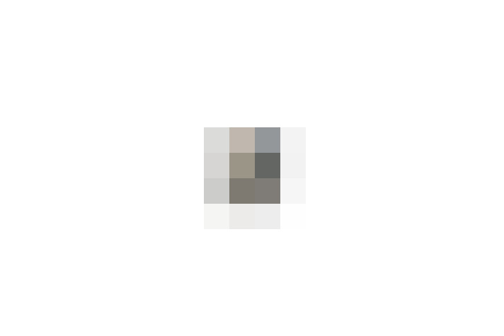  / #17