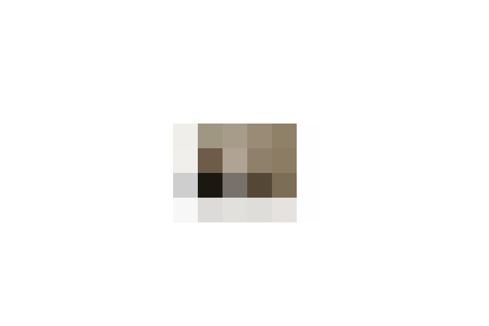  / #11