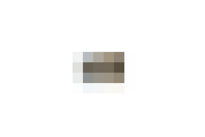  / #17