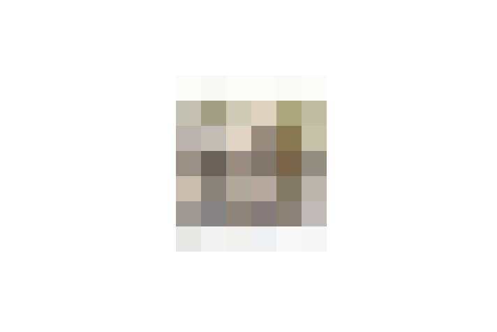  / #19
