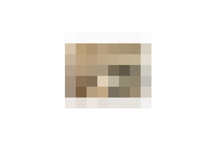  / #17