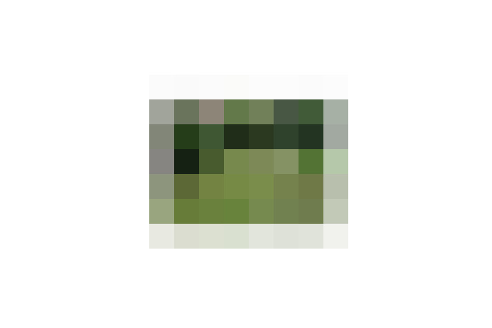  / #9