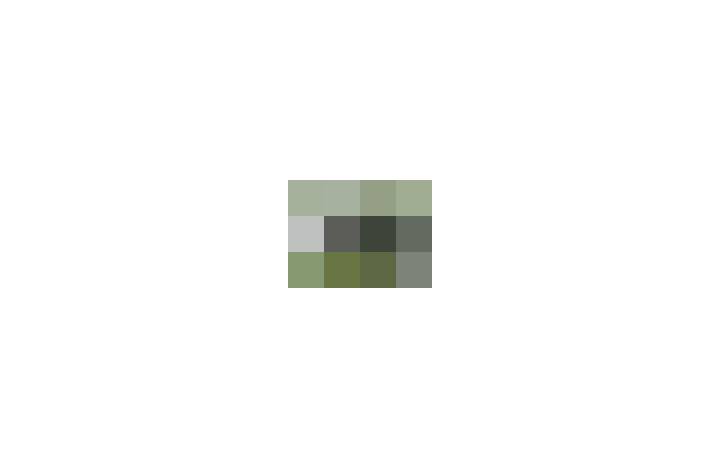 / #7