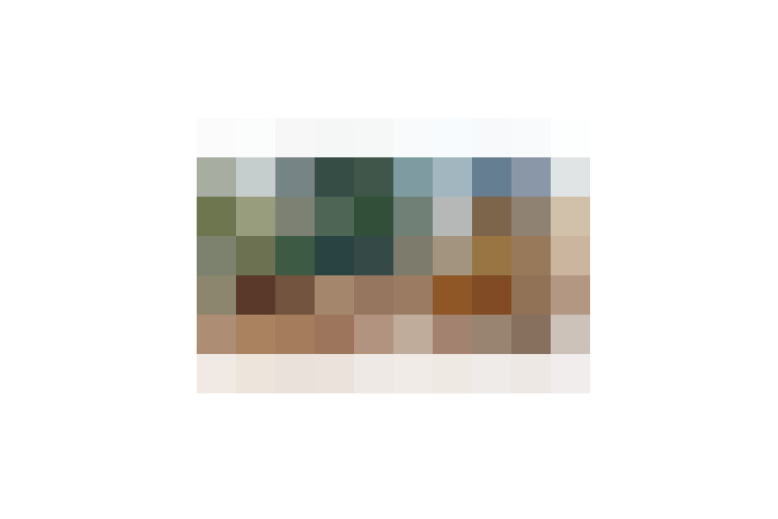  / #7