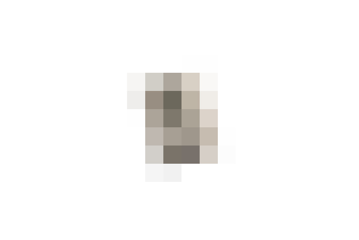  / #19