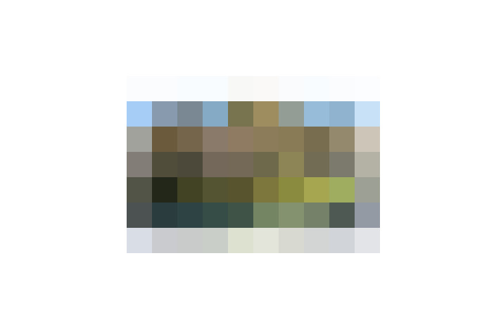  / #15