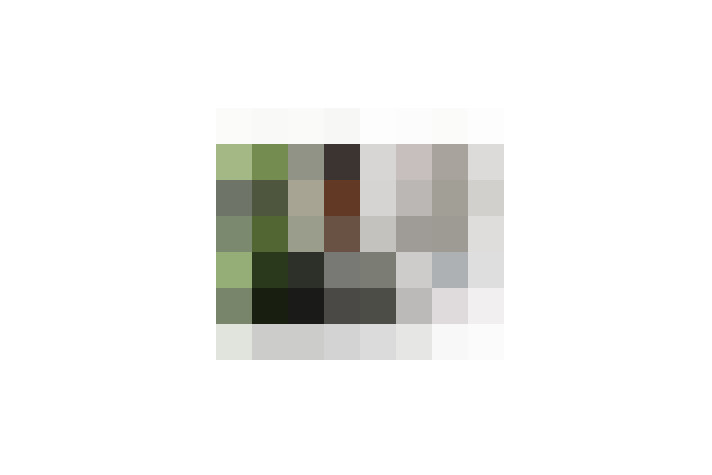  / #7