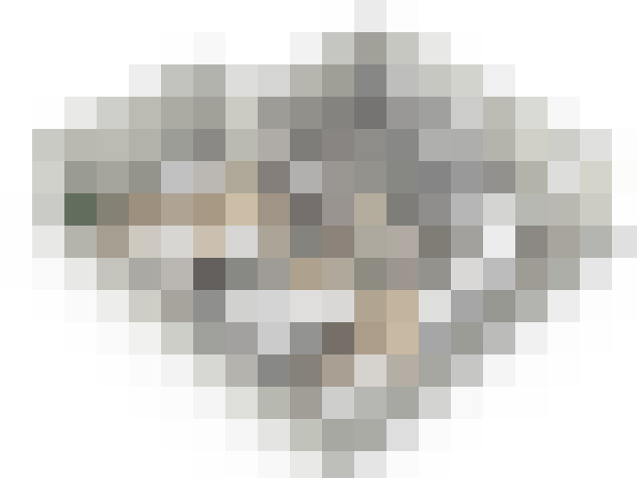  / #17