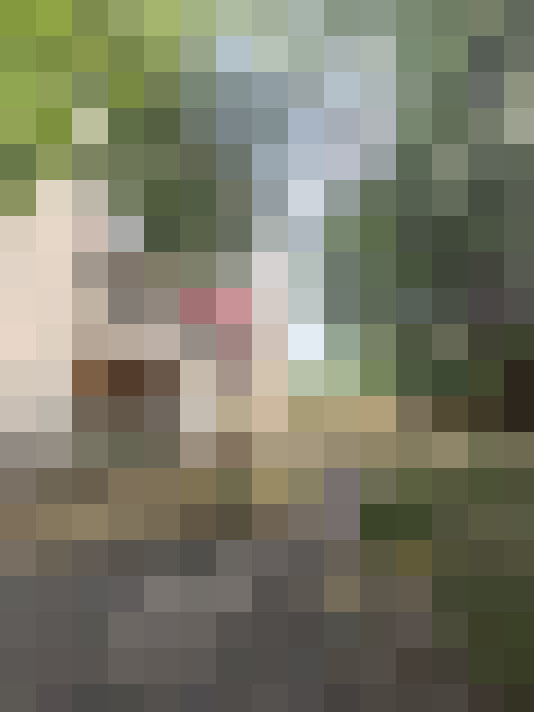  / #17