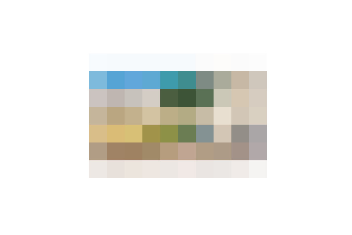  / #16