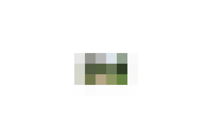  / #12