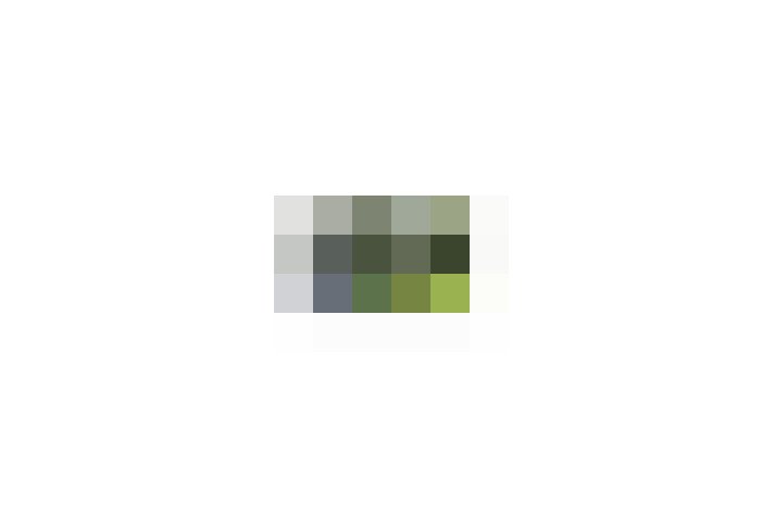  / #13