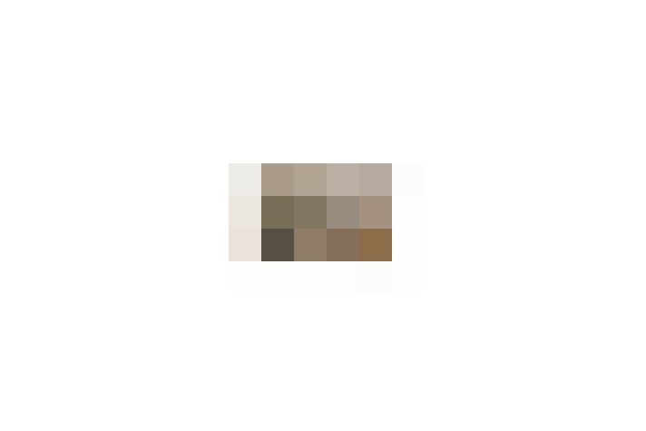  / #11