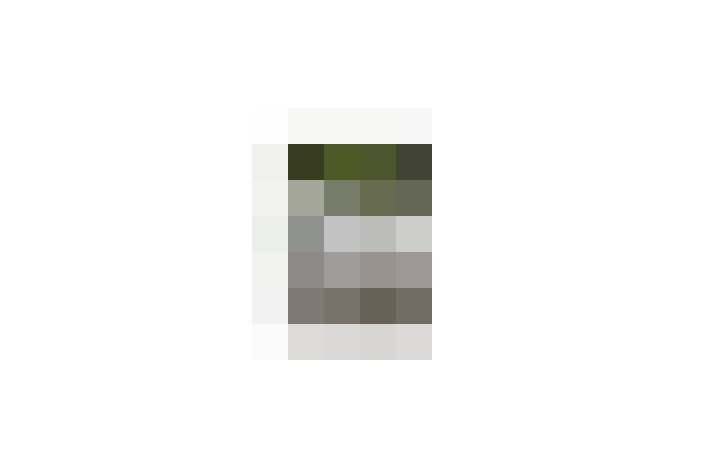  / #7