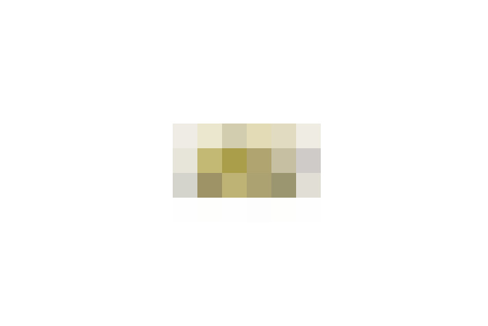  / #6