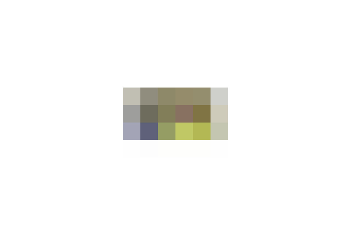  / #13
