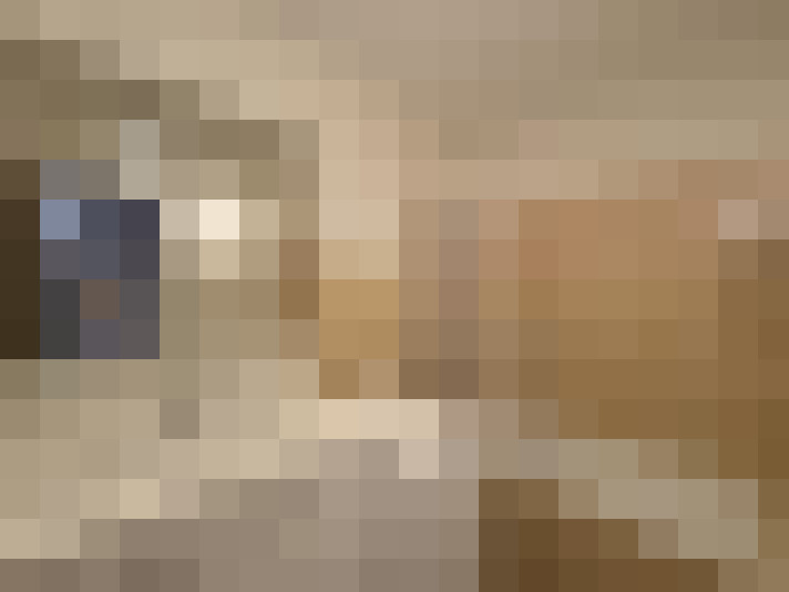  / #8
