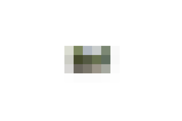  / #16