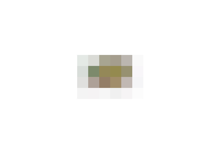  / #21